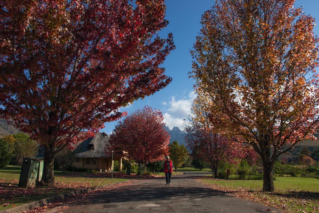 20 Mount Champagne Villa Champagne Valley ภายนอก รูปภาพ